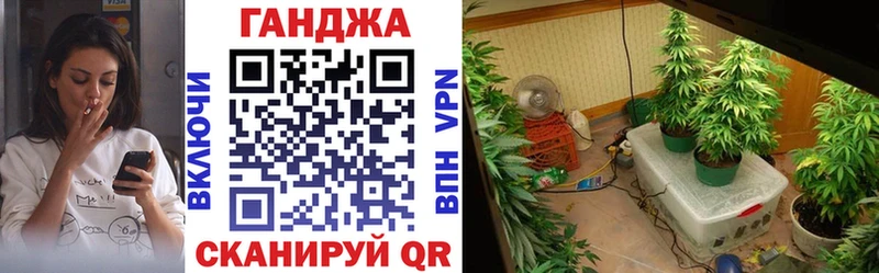 Бошки Шишки THC 21%  Россошь 